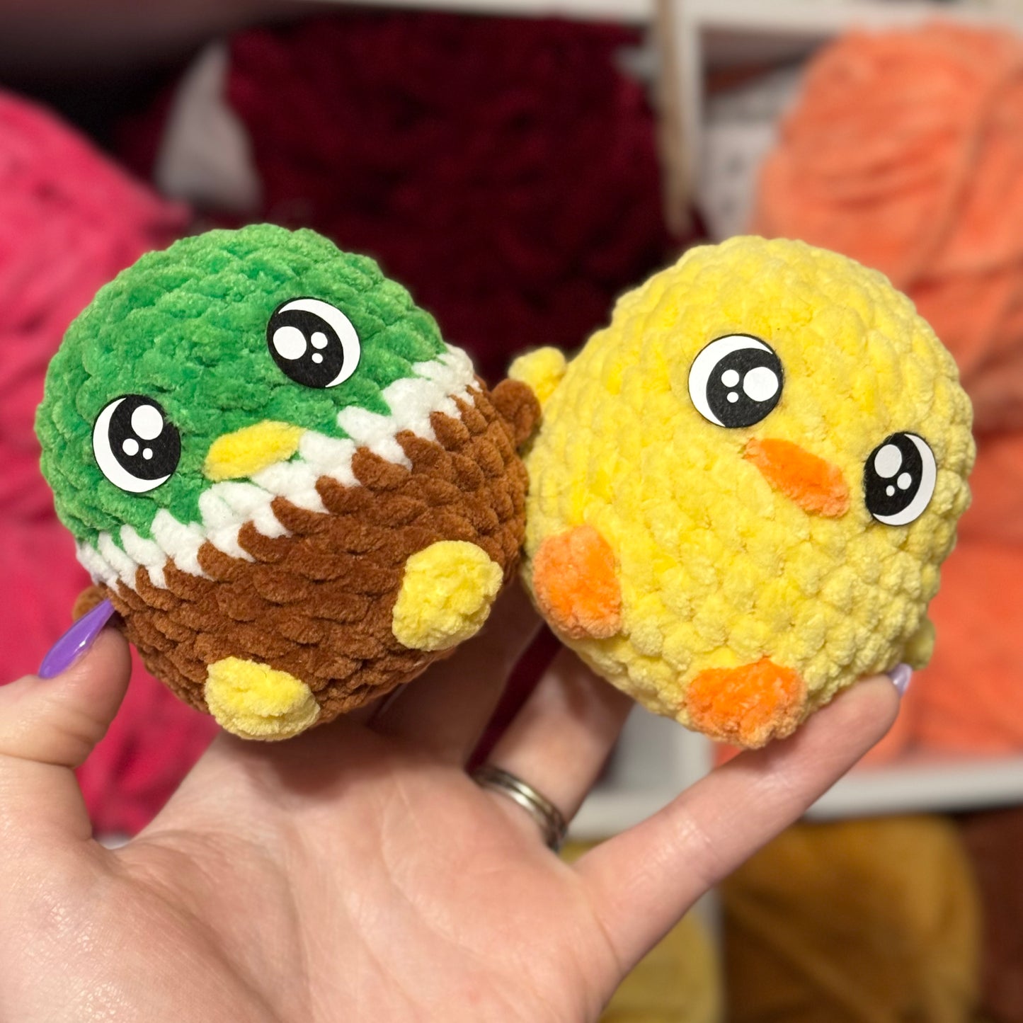 Baby Birds