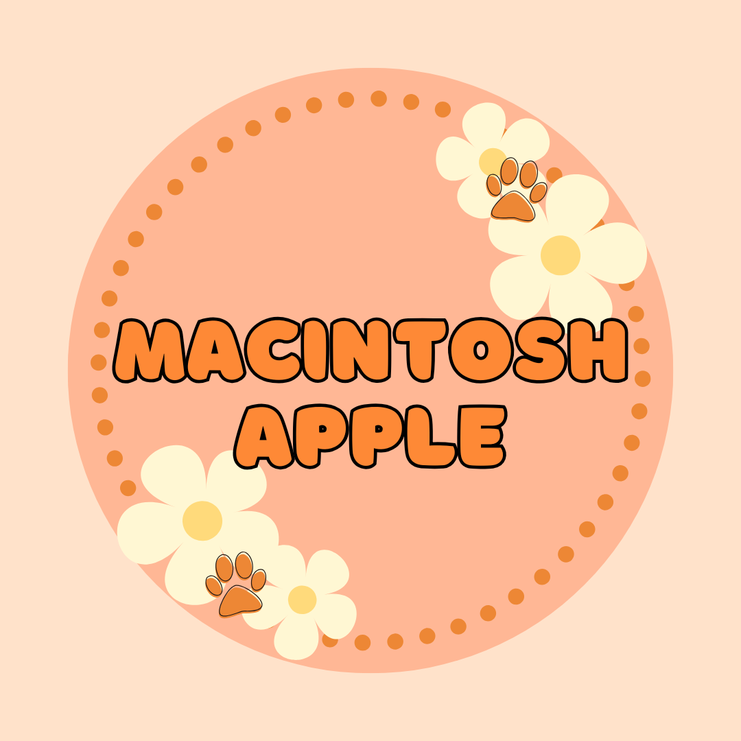 Macintosh Apple - PREORDER