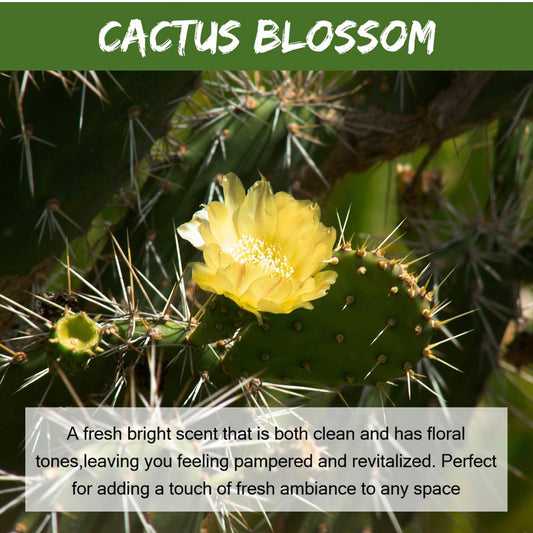Cactus Blossom Freshie