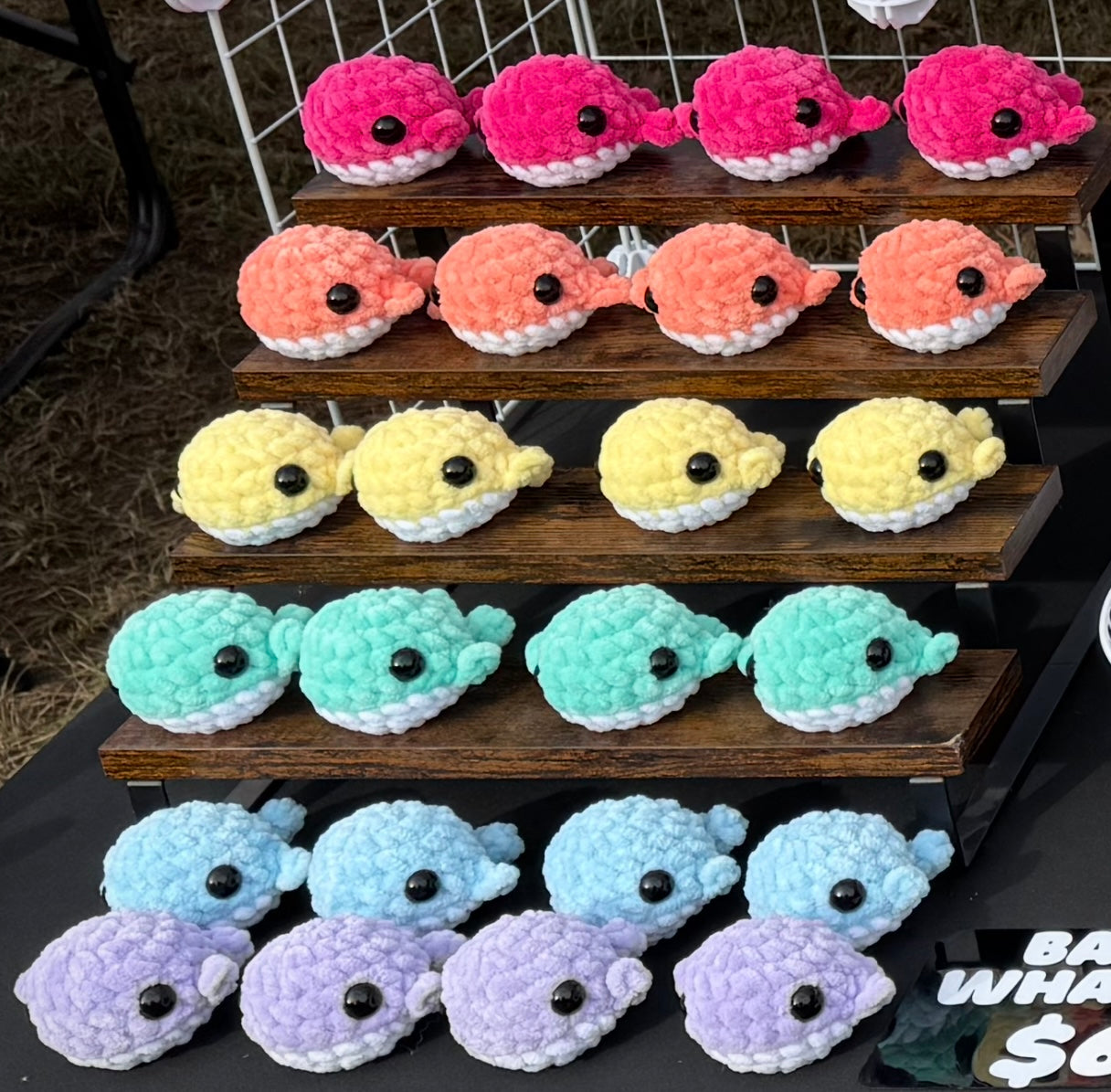 Baby Whales (Wholesale)