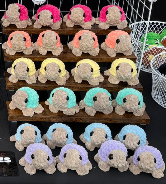 Baby Turtles (Wholesale)