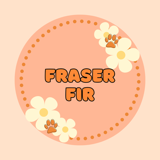 Fraser Fir - PREORDER