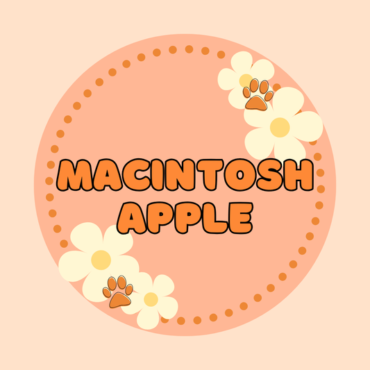 Macintosh Apple - PREORDER