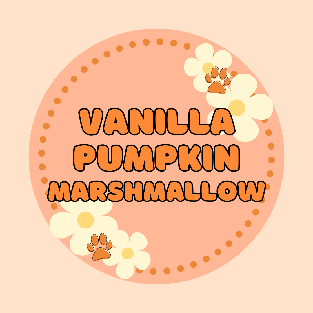 Vanilla Pumpkin Marshmallow - PREORDER