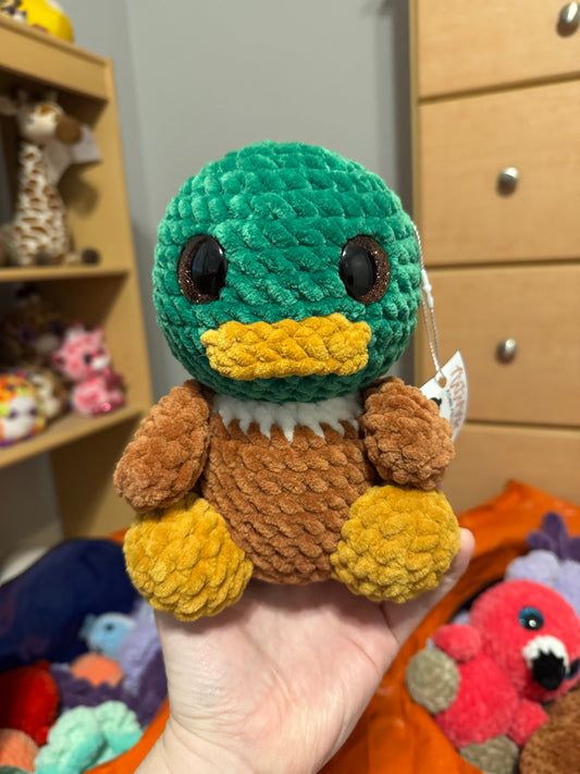 Mallard Duck